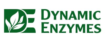 Dynamic Enzymes