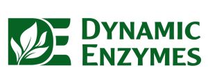 Dynamic Enzymes